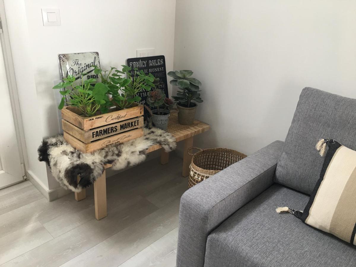 Loft Xerez Centro Lejlighed Jerez de la Frontera Eksteriør billede