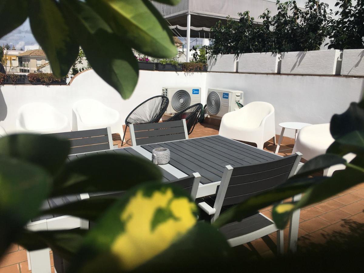 Loft Xerez Centro Lejlighed Jerez de la Frontera Eksteriør billede