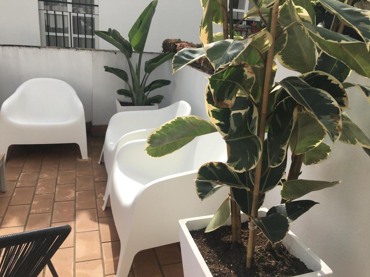 Loft Xerez Centro Lejlighed Jerez de la Frontera Eksteriør billede